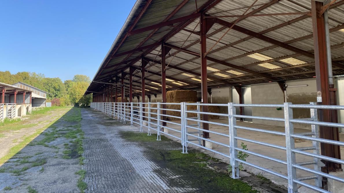 P le cheval de Pont Sainte Marie une coquille vide 2 millions